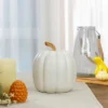 Northlight 8" White Pumpkin Autumn Harvest Tabletop Decoration -Decor Haven Shop GUEST 04b86dc8 5ce6 4dc7 96d4 8952f8101299