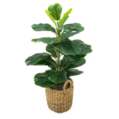 30" X 16" Artificial Fig Plant In Basket With Handles - LCG Florals -Decor Haven Shop GUEST 14179e98 8db3 4b1b be11 2a1507d70592