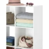 Whitmor 12 Section Cube Organizer White -Decor Haven Shop GUEST 1e9c7100 e9b9 4834 8a18 342dbfb9f74e