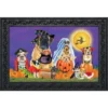 Briarwood Lane Trick Or Treat Dogs Halloween Doormat Cats Jack O'Lantern Indoor Outdoor 30" X 18" -Decor Haven Shop GUEST 21de40cd a3cc 4d79 92d0 446cc9808917