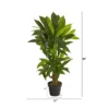 Nearly Natural 3-ft Corn Stalk Dracaena Artificial Plant (Real Touch) -Decor Haven Shop GUEST 249a6cca 38a1 4a54 ba18 5aa9e8b8ee67