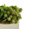 Artificial Succulent Arrangement (8") - Vickerman -Decor Haven Shop GUEST 271d0fcb 414d 4476 b35b c5ab6145e11b