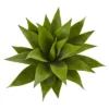 Agave Stem Plant - (32?) -Decor Haven Shop GUEST 32193423 7d47 40eb 800b b882666ec5a8