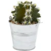 Juvale 4 Pack Artificial Succulents Planter, 4.7 "to 6.5" Green Fake Cactus Plants With Iron Bucket -Decor Haven Shop GUEST 4690a960 e713 4b41 a48e a02f2f5f7e93