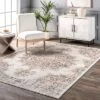 NuLOOM Vintage Medallion Liliana Area Rug -Decor Haven Shop GUEST 517090cc c451 409d 935a c169f9357507