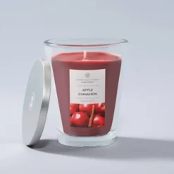 Jar Candle Apple Cinnamon - Home Scents By Chesapeake Bay Candle -Decor Haven Shop GUEST 5d1612e0 ad99 4860 8320 0075e2d0f36c