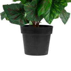 Northlight 11" Cream Potted Silk Begonia Spring Artificial Floral Arrangement -Decor Haven Shop GUEST 7931266b d73f 4bb9 837c bdbb6c5500f0