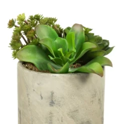 Artificial Succulent Arrangement (8") - Vickerman -Decor Haven Shop GUEST 7cab72b7 6c38 47d0 bb23 5fc118553bbf