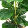 30" X 16" Artificial Fig Plant In Basket With Handles - LCG Florals -Decor Haven Shop GUEST 7d0d6687 f1f0 4cf0 bb30 b4656dbf878c