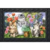 Garden Cats Spring Doormat Indoor Outdoor 30" X 18" Briarwood Lane -Decor Haven Shop GUEST 8b6c6bb9 d9ba 4364 ac0f 424abdbc8fe1