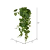 Vickerman Artificial Green Grape Leaf Ivy Hanging Bush -Decor Haven Shop GUEST 8c45cd0d 4495 4218 be1d 24176a3bc658