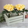 Rose Artificial Flowers - 24Pc Real Touch 11.5-Inch Fake Flower Set With Stems For Home Décor, Wedding, Or Bridal/Baby Showers By Pure Garden (Yellow) -Decor Haven Shop GUEST 8edc6b9d 7431 437a ae93 33165558d824