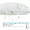 Dr Pillow Rayon From Bamboo Memory Foam Pillows -Decor Haven Shop GUEST 912549ab dca9 4330 ad93 b0c04f99a777