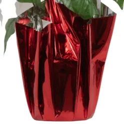 Northlight 14.5" White Artificial Christmas Poinsettia With Red Wrapped Base -Decor Haven Shop GUEST 92ac672c 696d 4013 8c71 de671af28eab