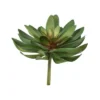 Vickerman 6" Artificial Assorted Succulent Picks, Set Of 3 -Decor Haven Shop GUEST 9866847f b569 4f11 9971 d579ad81bdfc