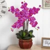 31" X 28" Artificial Phalaenopsis Orchid Arrangement In Vase Purple - Nearly Natural -Decor Haven Shop GUEST ab0900f7 3ccd 434b a981 4562a52b7006