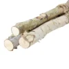 Northlight 38.5" Birch Wood Branch Bundle Christmas Display -Decor Haven Shop GUEST abe83021 40a1 4968 b0e8 a9bf85ee3d07