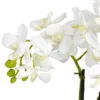 Nearly Natural Phalaenopsis Silk Flower Arrangement -Decor Haven Shop GUEST aefd1971 e4ce 4de6 8f15 34bd893e9bb6