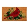 Evergreen Winter Cardinal Indoor Outdoor Natural Coir Doormat 1'4"x2'4" Brown -Decor Haven Shop GUEST bd71d848 6d5d 4c77 b518 b4abe53a34a9