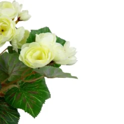 Northlight 11" Cream Potted Silk Begonia Spring Artificial Floral Arrangement -Decor Haven Shop GUEST d1005576 56d8 4ae0 b2cb f58f2f7b439f