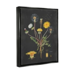 Stupell Industries Botanical Drawing Dandelion On Black Design -Decor Haven Shop GUEST d5f3aaeb 9ee5 4ee1 9172 19b70194bd4e