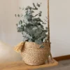 Brown Basket Woven Seagrass & Corn Husk By Foreside Home & Garden -Decor Haven Shop GUEST e0e2856f ddbc 4dae bb1d 617819fc0942