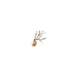 Blossom Branch Peel And Stick Giant Wall Decal With Flower Embellishments White - RoomMates -Decor Haven Shop GUEST e164961a 9b3a 4832 b1be ca4fe5839329