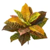 Nearly Natural 21-in Garden Croton Artificial Plant (Real Touch) (Set Of 4) -Decor Haven Shop GUEST e5e15faa b947 4135 a8d8 b7a467fff87a