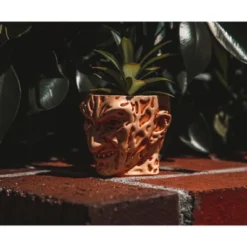 Silver Buffalo A Nightmare On Elm Street Freddy Krueger Ceramic Planter W/ Artificial Succulent -Decor Haven Shop GUEST f55fd365 4ccc 4ab7 8973 d442fed50b23