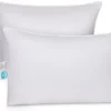 East Coast Bedding 2 Pack Luxury Goose Down Filled Pillows (Standard Size) -Decor Haven Shop GUEST fc3d71b4 d760 4769 aa5a 5a11dc44d9ea